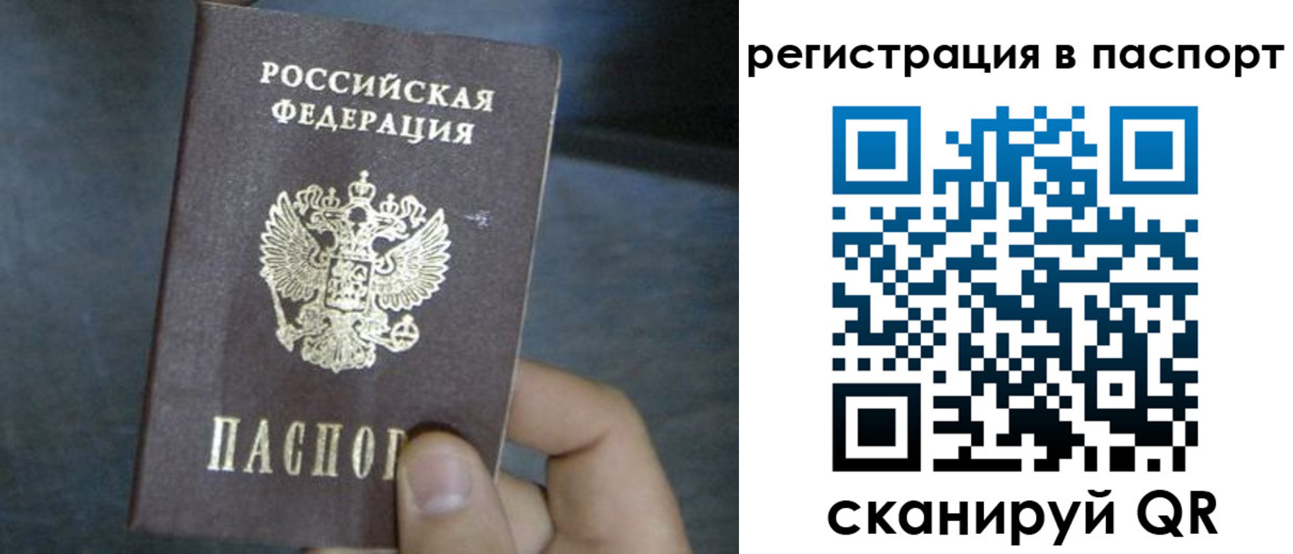 прописка 2025 в Стародубе